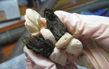 ������Ō��ҷQ�ڹ�Ĺ�~���аl(f��)�F(xi��n)��(zh��n)��(gu��)�r(sh��)�Sţ��