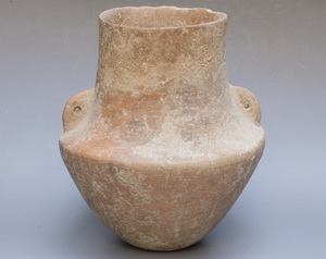 ����t�����pϵ��