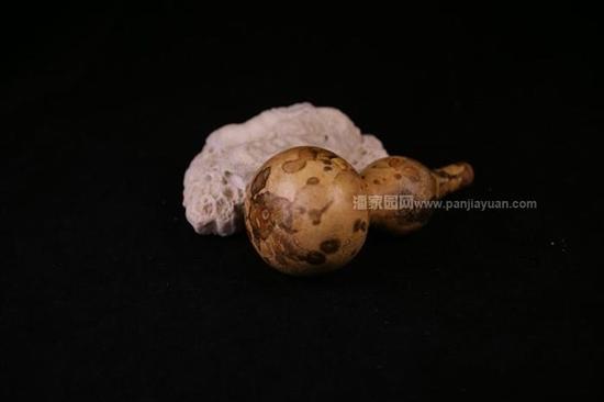 ���b�p��������J��ô�P�t �@���ɫ�ĺ��J��ֵ�X