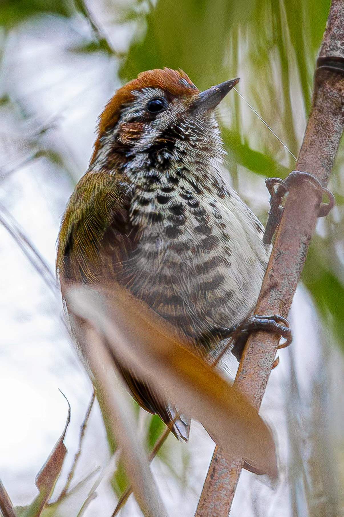 �������� ���R�^���w��