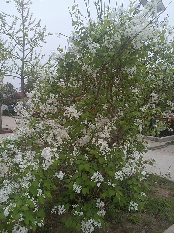 ����Yٝ��