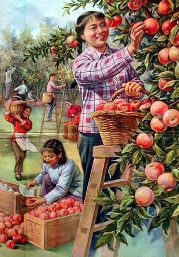 �M�D:20���o(j��)�Ї�ʳƷ�������߼t�W(w��ng)�j(lu��)��8��