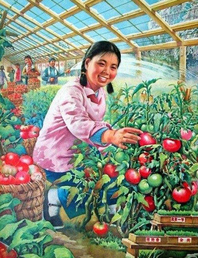 �M�D:20���o(j��)�Ї�ʳƷ�������߼t�W(w��ng)�j(lu��)��10��