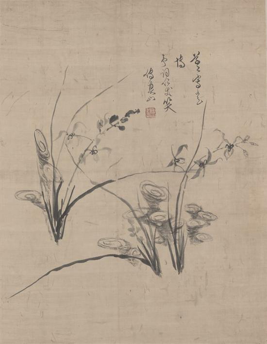 �m֥�D �c��ī�P �S 52.2cm&times;40.8cm �ʌm����Ժ��