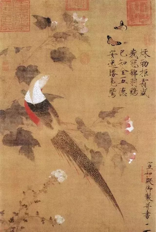 ��������s�̈́��ŏ�(qi��ng)���g�ГQ���ݽ��w