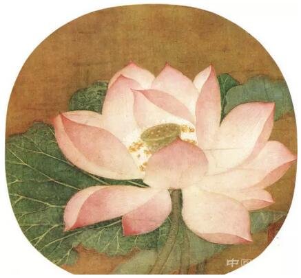 ��(d��)�߽��ĵ��δ���������