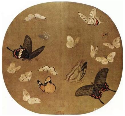 ��(d��)�߽��ĵ��δ���������