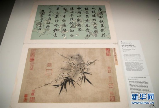 �_���ʌm����Ժ�䌚Ϥ��չ��