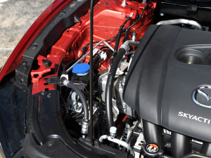 ����Ɲ2020�� 2.5L �{(l��n)�������