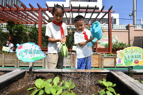 2025��9��16������ɽ�|ʡ���u���б��^(q��)��ɽ��·С�W(xu��)�ķNֲ�@������W(xu��)���ڽo�ˈ@��ˮ��