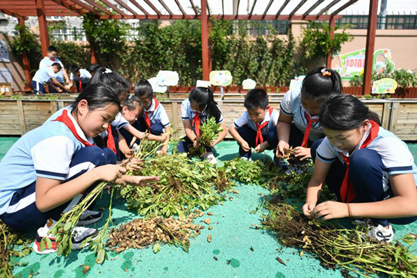 2025��9��16������ɽ�|ʡ���u���б��^(q��)��ɽ��·С�W(xu��)�ķNֲ�@�����W(xu��)����?c��)ڲ�ժ�ի@�Ļ�����