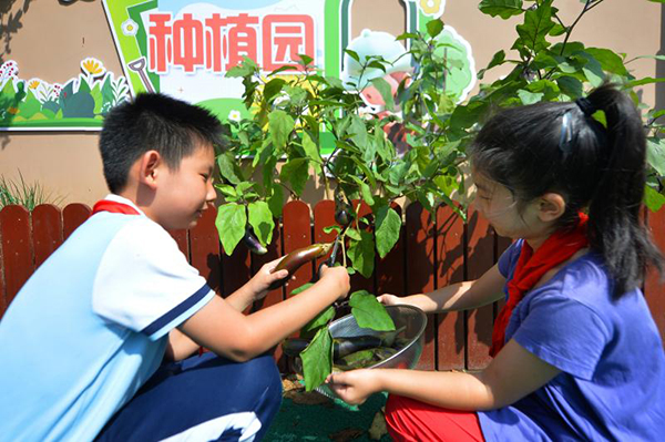 2025��9��16������ɽ�|ʡ���u���б��^(q��)��ɽ��·С�W(xu��)�ķNֲ�@���������W(xu��)���ڲ�ժ���ӡ�