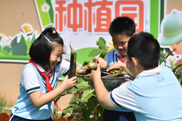 2025��9��16������ɽ�|ʡ���u���б��^(q��)��ɽ��·С�W(xu��)�ķNֲ�@�����W(xu��)����?c��)ڷ����S�յ�ϲ����