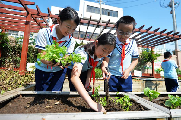 2025��9��16������ɽ�|ʡ���u���б��^(q��)��ɽ��·С�W(xu��)�ķNֲ�@������W(xu��)�����ԷN�۲�����