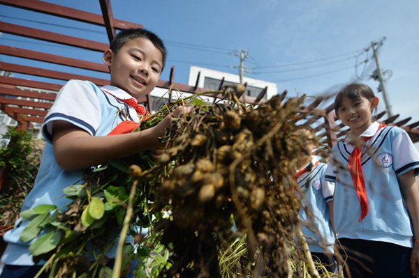 2025��9��16������ɽ�|ʡ���u���б��^(q��)��ɽ��·С�W(xu��)�ķNֲ�@��W(xu��)�����ի@�������w�(y��n)�S�յ�ϲ����