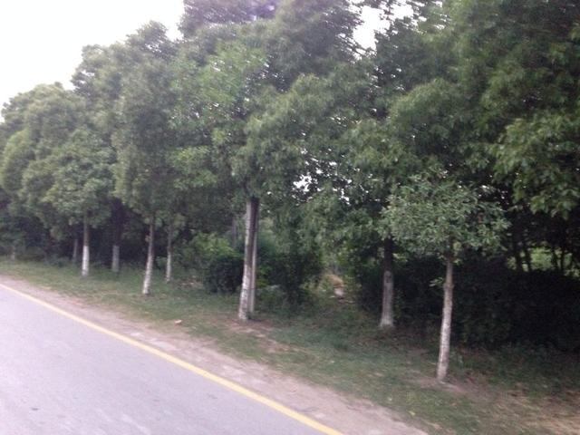 ��һ���������Լ�4�qŮ����ˮ��������