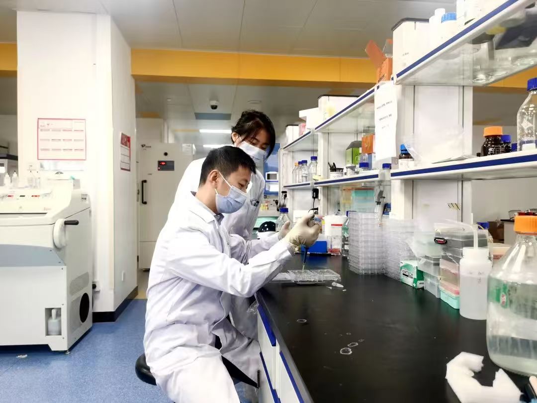 �������󣩽��ڎ��I(l��ng)�F(tu��n)�(du��)�ɆT�ڌ�(sh��)�(y��n)�С��Ї��ƴ�һԺ���D