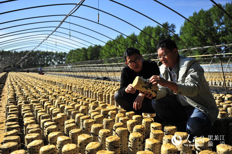 ���B(t��i)��ľ���S���������x  �z