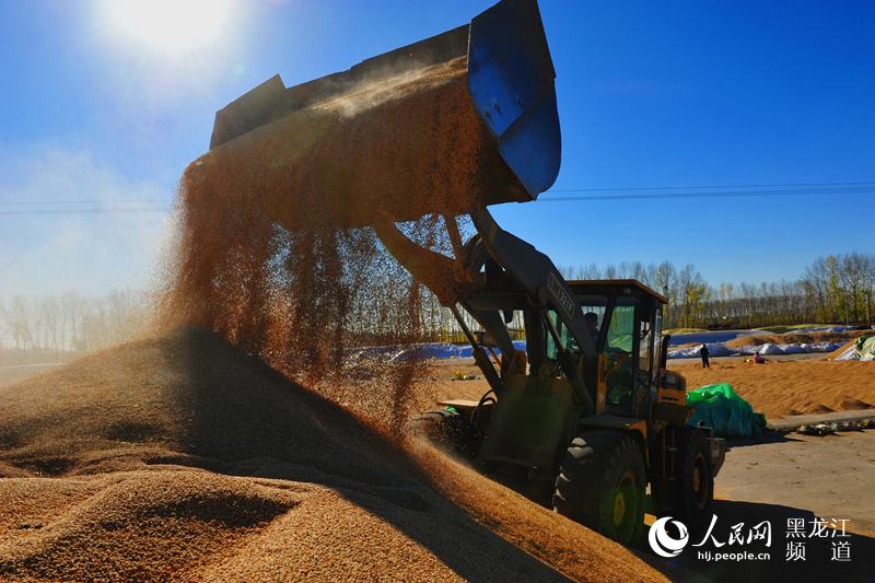 ���������^(q��)���x�r(n��ng)����ץ�����������r�C(j��)�����¼Z�����x �z