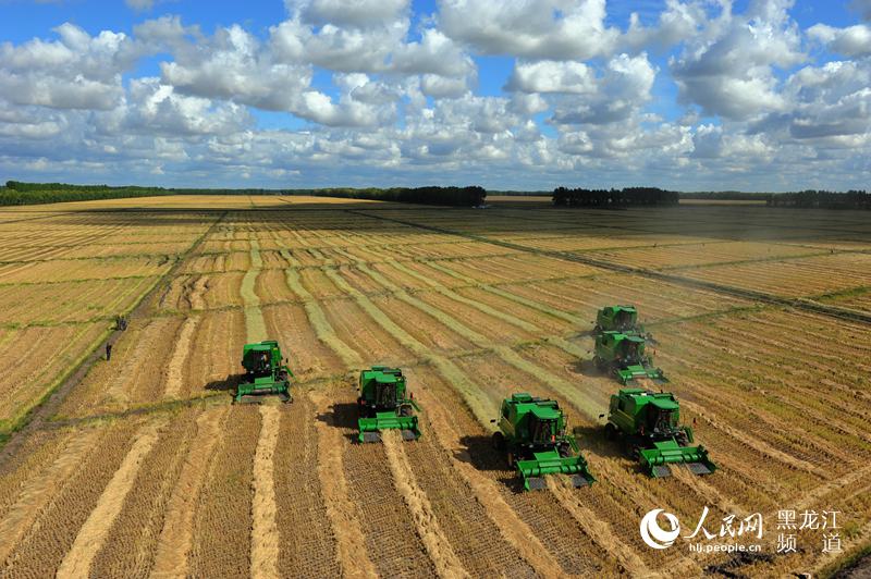 ��C(j��)е�Z�r(n��ng)�r(li��n)�ϓ���ˮ�������x �z