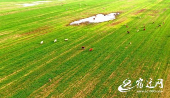 QQ�DƬ20210713100245