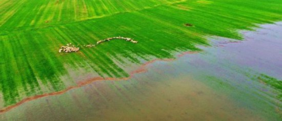 QQ�DƬ20210713095611