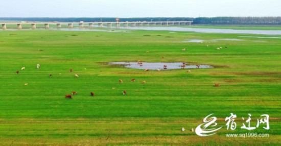 QQ�DƬ20210713095542