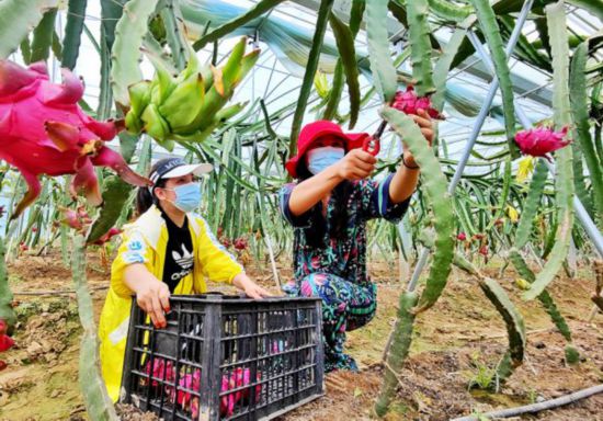 ΢�ňDƬ_20210901092814