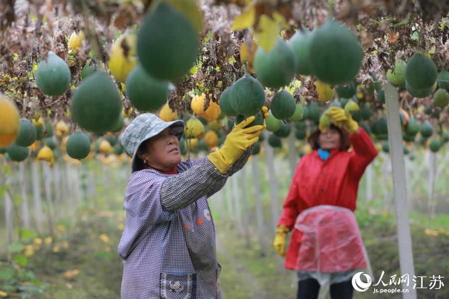 ���˂��ڲ�ժ���V������W(w��ng) ������z