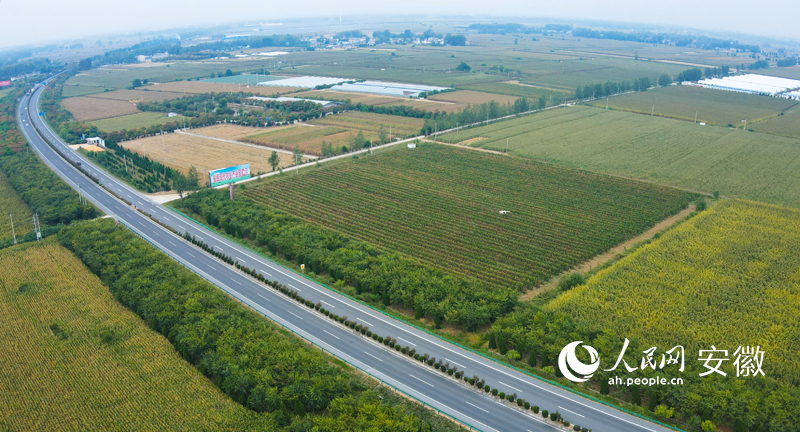 ȫ��һ�K����׌���(zh��n)�h�r(n��ng)�I(y��)���a(ch��n)�a(ch��n)������������W(w��ng) �՝��z