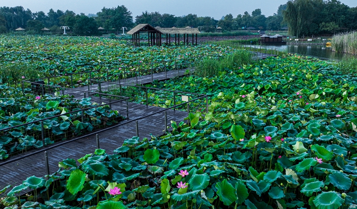 �ֿ�����ɏ�l(xi��ng)���ֿڅ^(q��)ί���������D