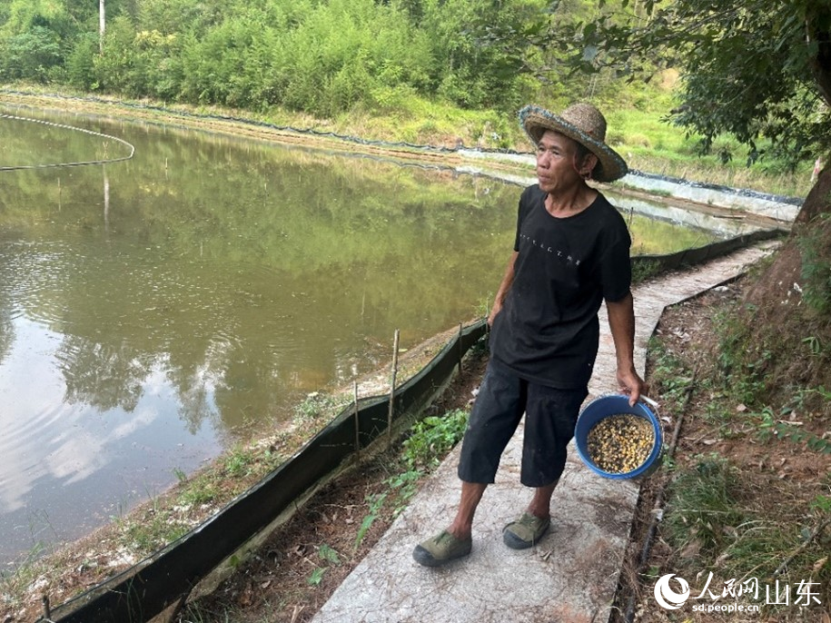 ���´��������·��з��Ѳҕ��Ͷι���������W(w��ng) ���ѩ�z