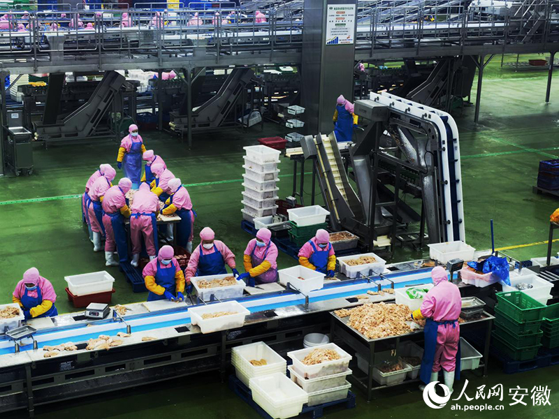 �������ʳƷ���޹�˾�ļӹ�܇�g������W(w��ng)ӛ�� �����z