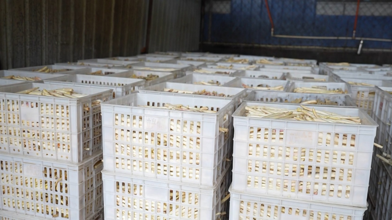 �ںõ��J�S���b�ڿ������ȴ��֒����ܿh�hί���������D