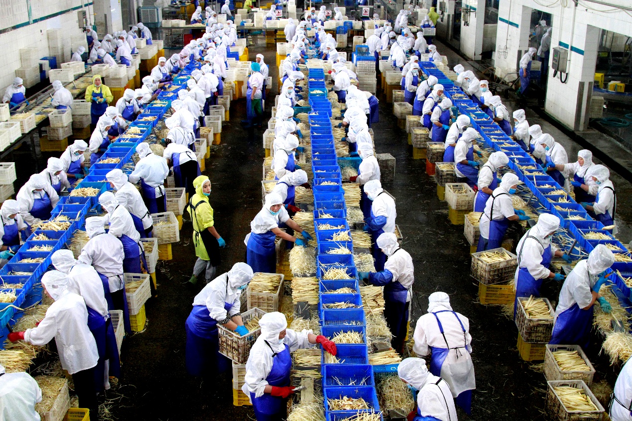 �ܿhʳƷ��I(y��)܇�g��(n��i)�����˂����ڼӹ��J�S���ܿh�hί���������D