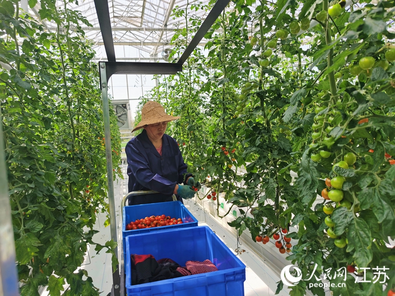 ��ͨ���T�^(q��)���r(n��ng)��C��