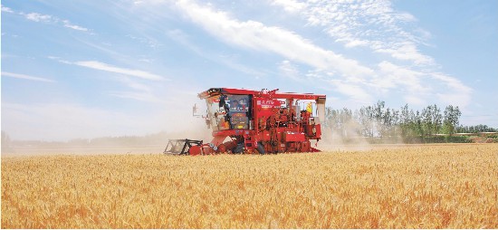 ���ġ��M(j��n)�Еr(sh��) ɽ�|�¡�