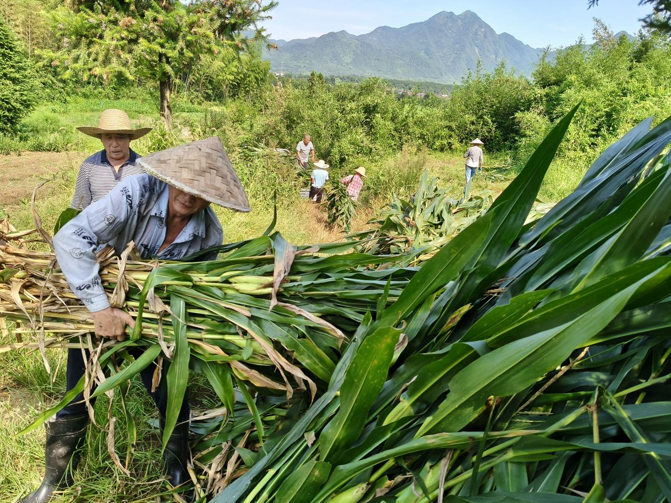 ��s���ո����׽ն��������