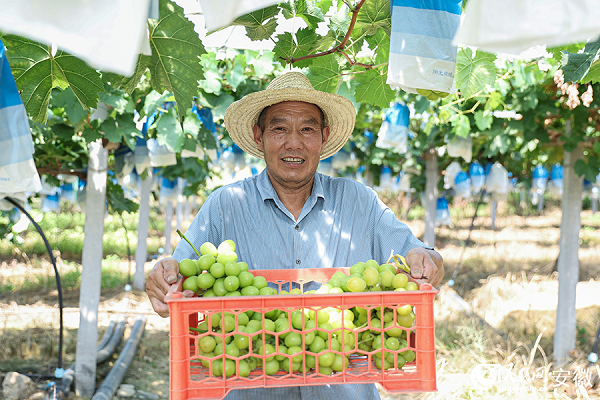 ���ՏV�£���õ�塱��