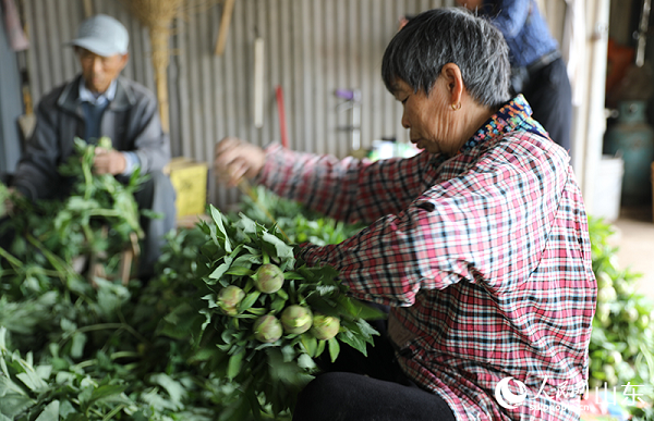 ����������?c��)�����ĵ���r�л�������W(w��ng)ӛ�� �����z