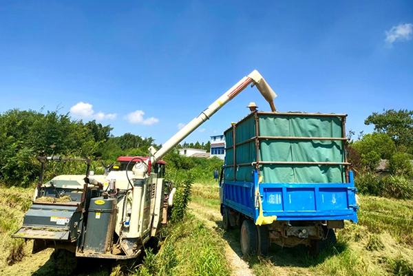 �������^�絾�C(j��)�լF(xi��n)��(ch��ng)��