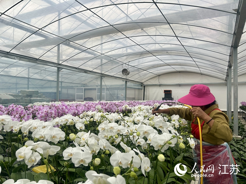 �ߔ����B(t��i)�r(n��ng)���ÿƄ�(chu��ng)�@���ܜ��������Ʒ�N�����m������W(w��ng) �������z