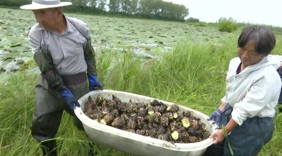 �͌�(sh��)ϲ�@�S�ա�