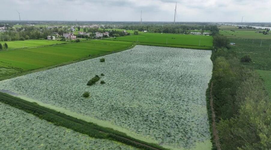 �͌�(sh��)ϲ�@�S����