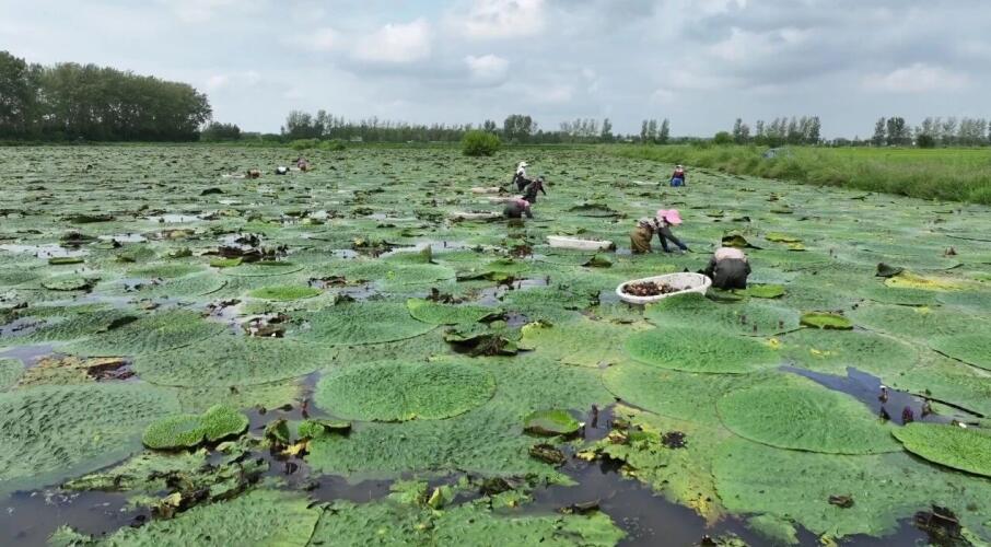 �͌�(sh��)ϲ�S�� ˮ�ϡ���