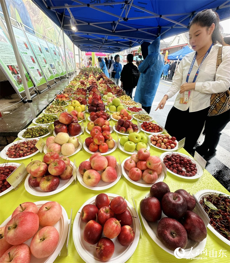 2025���Ї�(gu��)�r(n��ng)���S�չ�(ji��)ȫ��(gu��)����(ch��ng)���(d��ng)���l(xi��ng)���������ɫ�Ϲ��R��һ�����������^���v��������W(w��ng) ��歔z