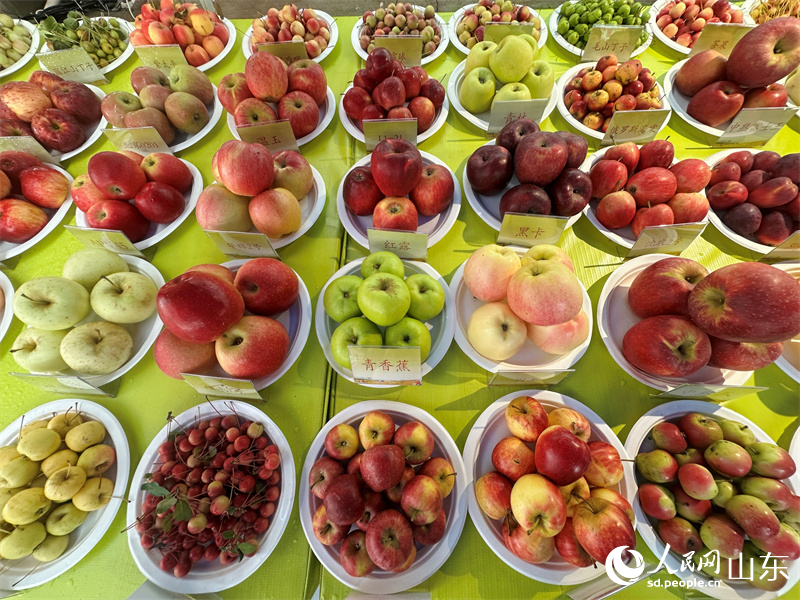 2025���Ї�(gu��)�r(n��ng)���S�չ�(ji��)ȫ��(gu��)����(ch��ng)���(d��ng)���l(xi��ng)���������ɫ�Ϲ��R��һ��������W(w��ng) ��꿘�z