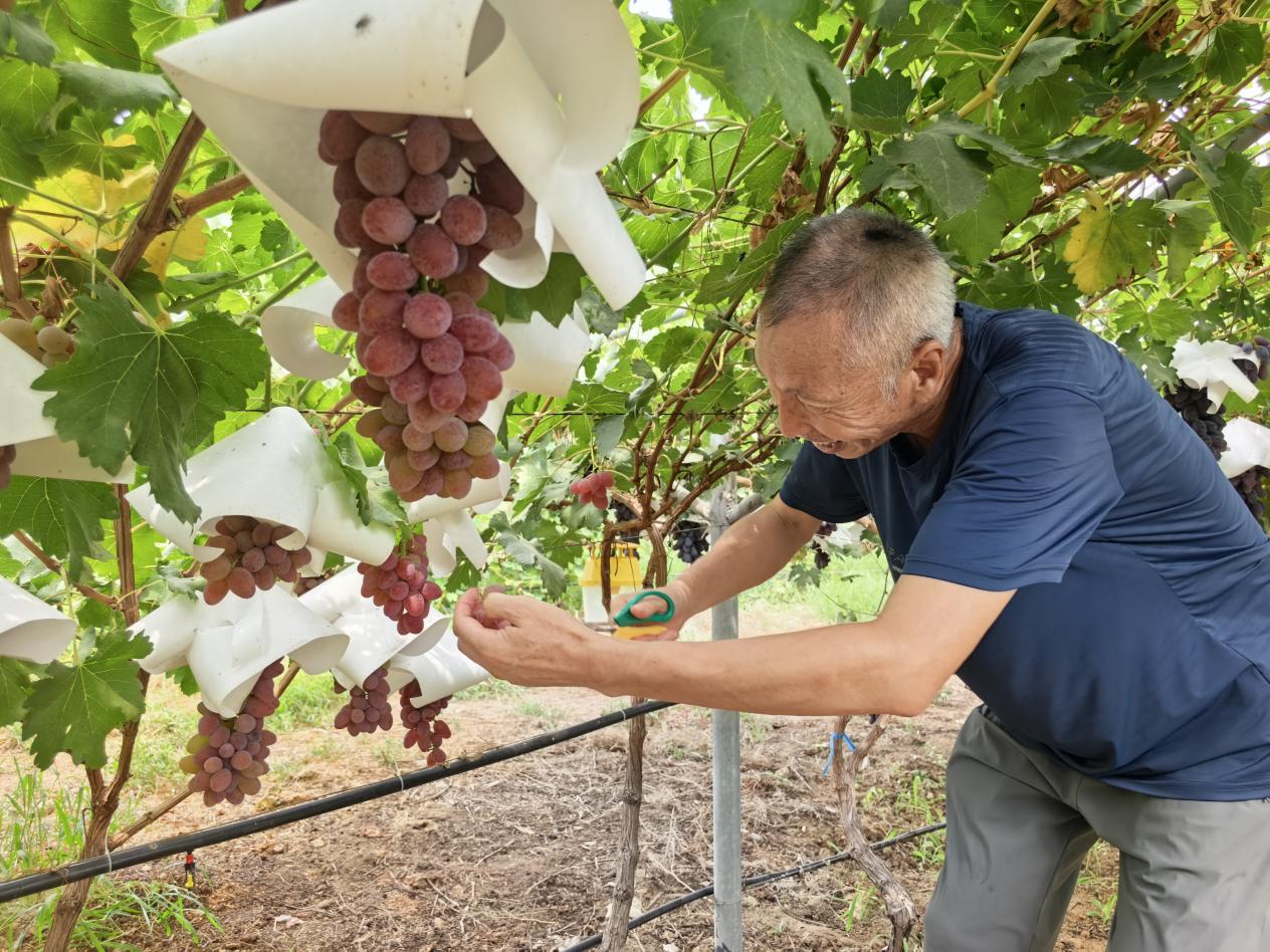 �����Ѵ���������܊���ڴ��^�@��(n��i)�޼����ѡ�ƽ����ί���������D