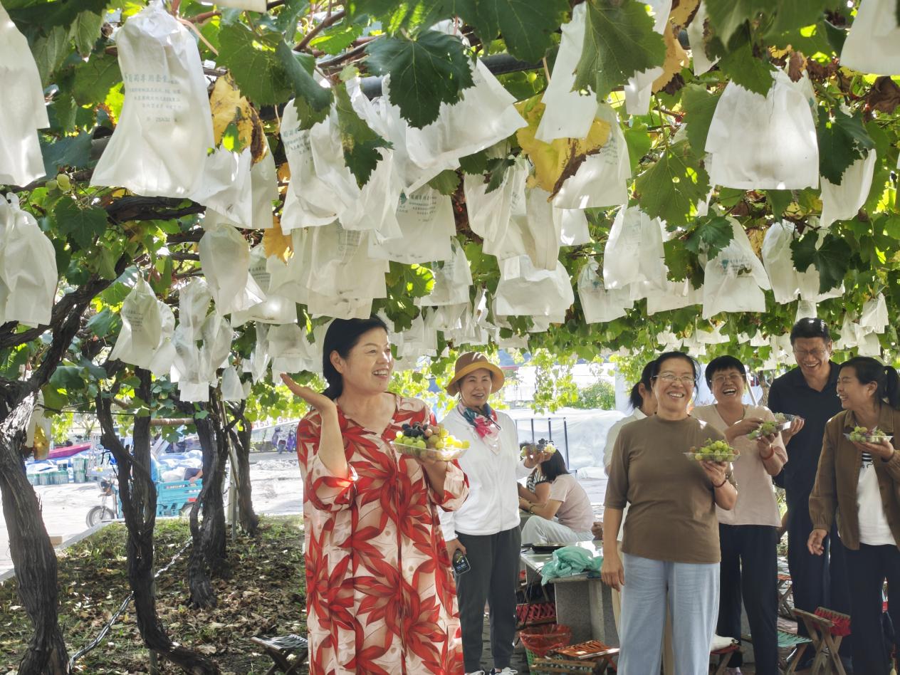 �ο͂������Ѵ��^�@Ʒ�L���������z