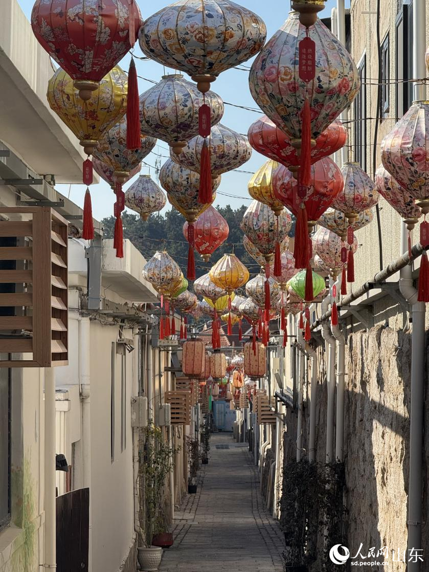 �����G��־��� ����W(w��ng) ���Ӑ��z